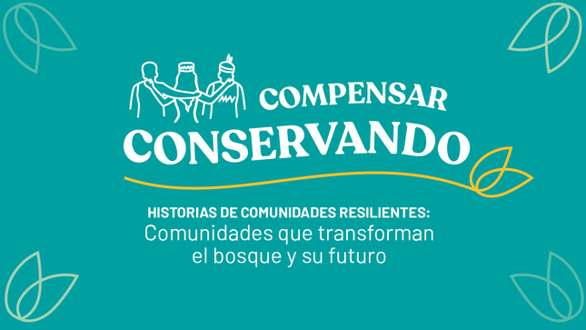 Compensar conservando: Comunidades que transforman el bosque y su futuro