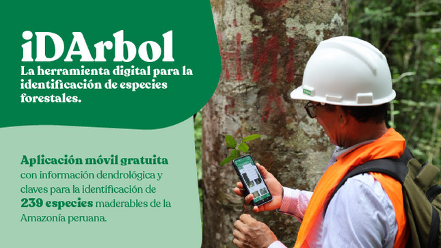 iDArbol: La herramienta digital para la identificación de especies forestales
