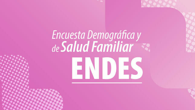 Encuesta Demográfica y de Salud Familiar - ENDES