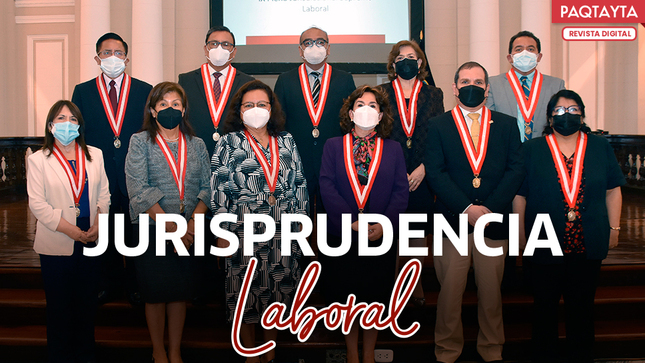 IX Pleno Jurisdiccional Supremo fijó criterios jurisprudenciales que deben observar los jueces y juezas de todos los niveles.