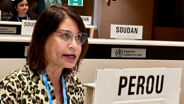 Emb Ana Cecilia Gervasi presenta iniciativa peruana en 77 Asamblea Mundial de la Salud