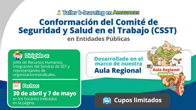 Imagen AMAZONAS: Taller B-learning Conformación del Comité SST en entidades públicas