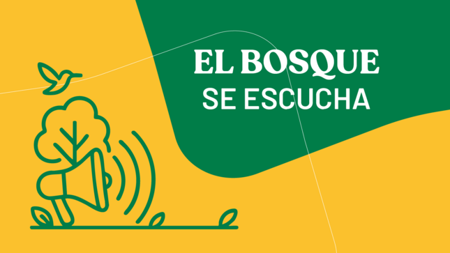 El bosque se escucha