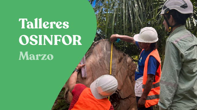 Talleres y cursos de capacitación del OSINFOR - Marzo 2026