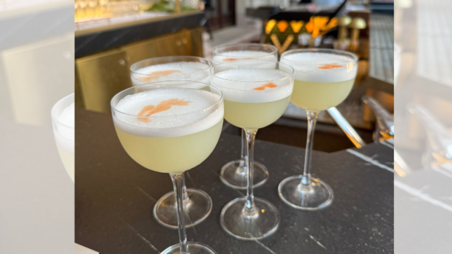 Promocionan pureza y calidad de nuestro pisco en evento de Budapest