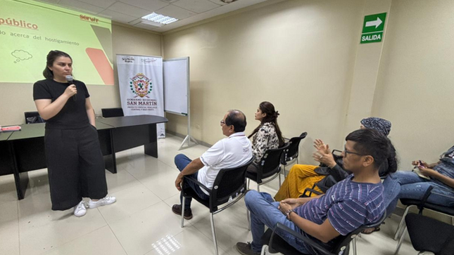 SERVIR: Solo 6 de cada 10 entidades en San Martín están preparadas para enfrentar el hostigamiento sexual laboral