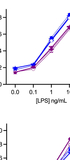 Dengue virus NS1 protein does not activate TLR4 and has a modest effect on endothelial monolayer integrity compared to TNF