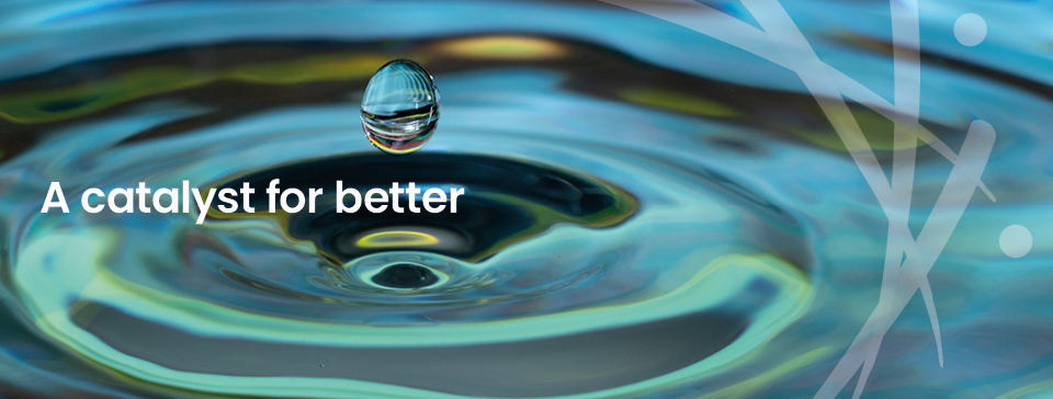 UNC Water and Health Conference Collection