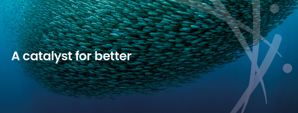 Welcome to PLOS Complex Systems