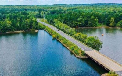 Aerial shot bridge road trees near lake