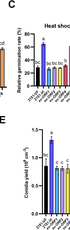A mycovirus enhances fitness of an insect pathogenic fungus and potentially modulates virulence through interactions between viral and host proteins